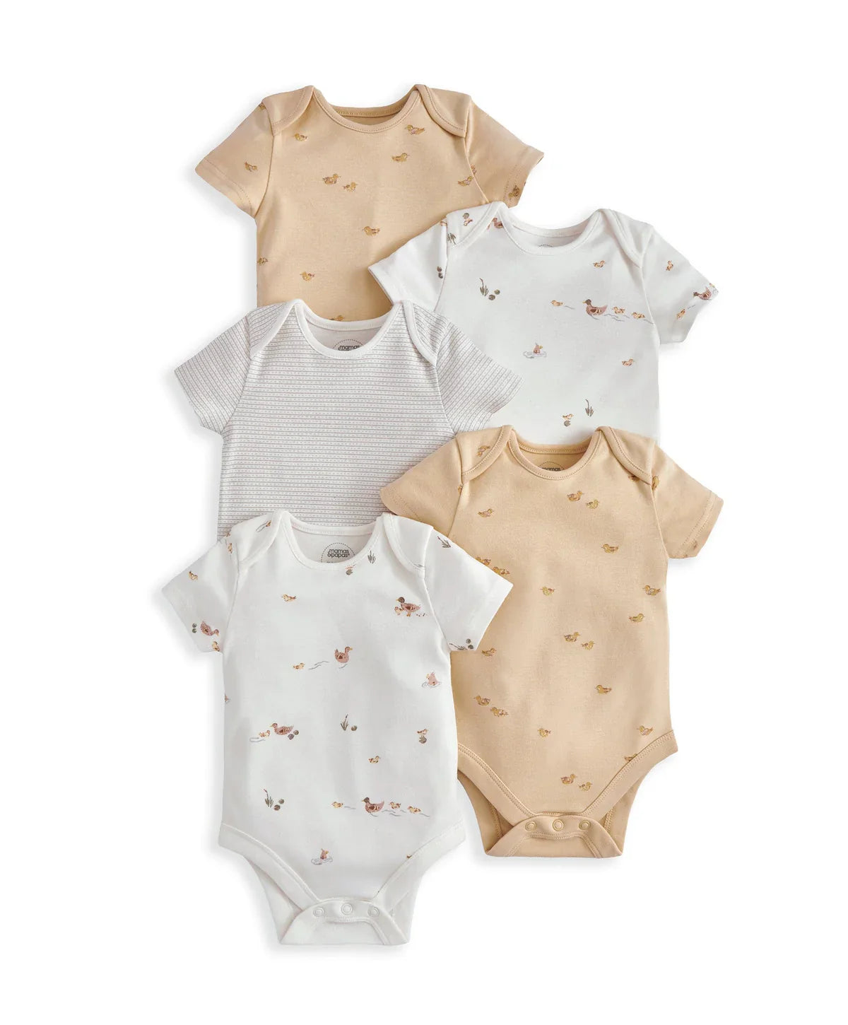 Duckling short-sleeved bodysuits (5), striped and solid designs, neutral tones