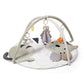 Cat activity play mat with arch frame and hanging plush toys