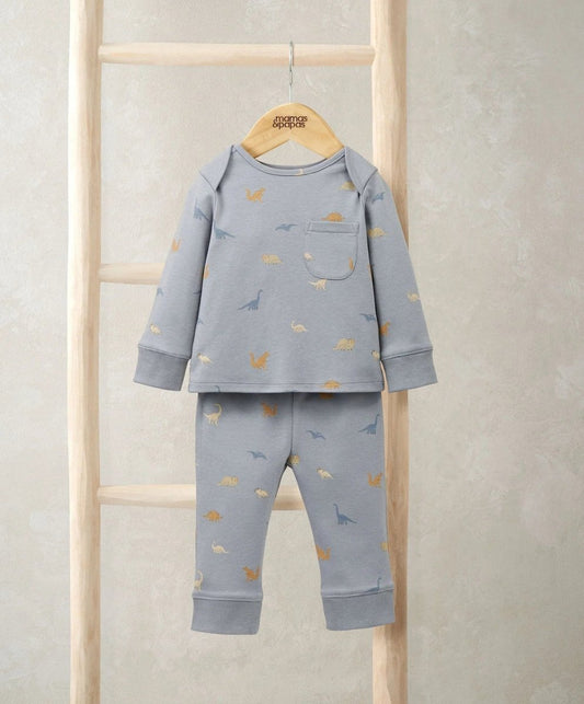 Dino print pajama set in light blue, long-sleeve top and matching pants