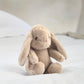 Bunny soft plush toy, beige plush with floppy ears and seated pose