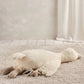 Plush tummy time duck in light cream, belly-down with arms and wings extended.